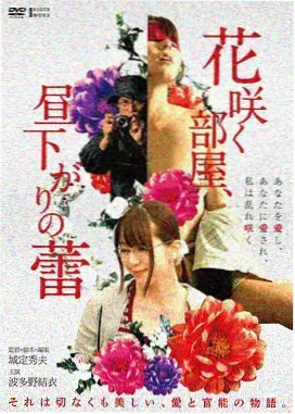 雾中航线电影修复版海报